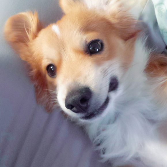 • Closet Information  |  Meet Your Seller • - Picture 7 of 7